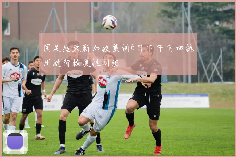 国足结束新加坡集训6日下午飞回杭州进行恢复性训练