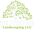 Pro Landscaping LLC